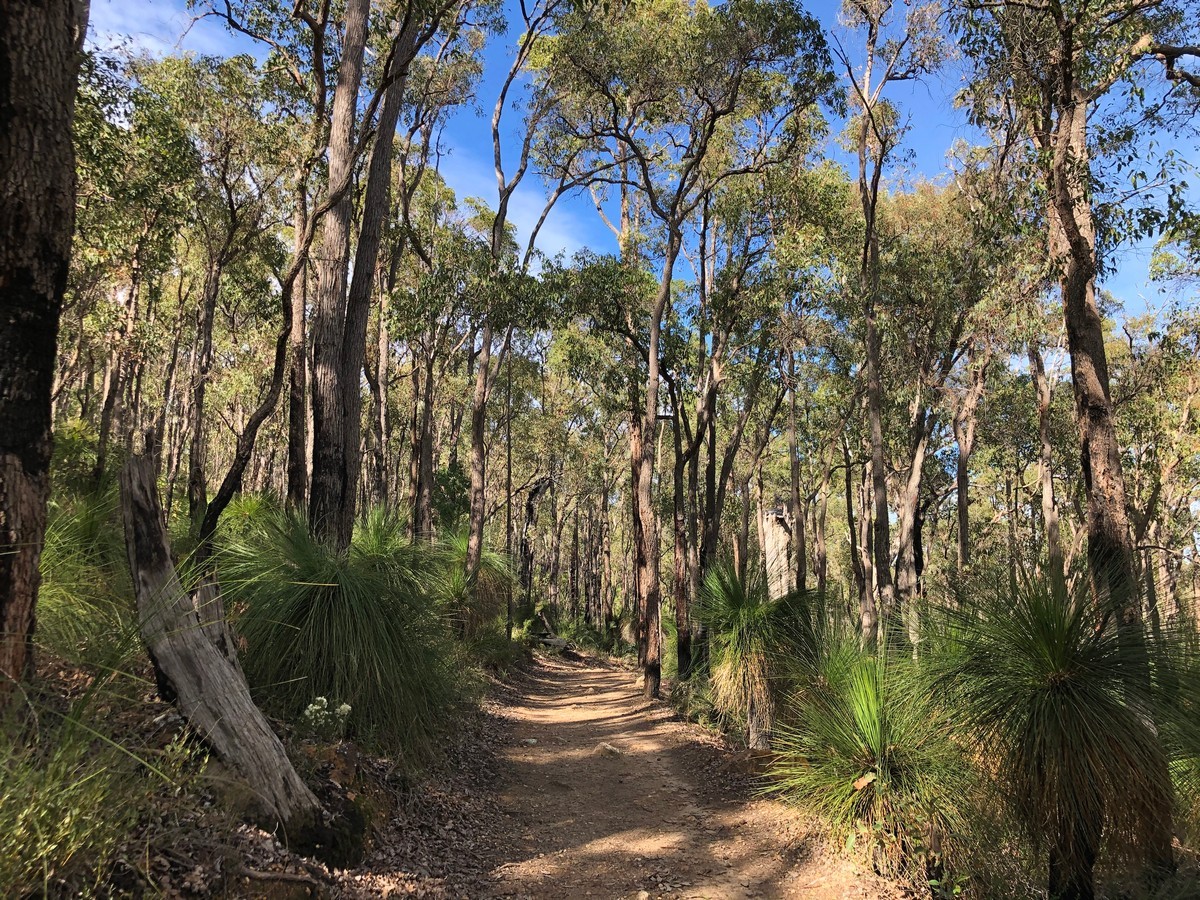 Walking trails Perth, Mason & Bird Trail